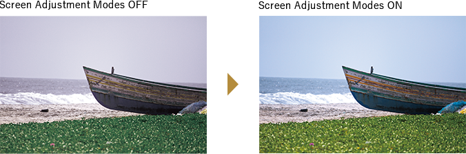 Screen Adjustment Mode